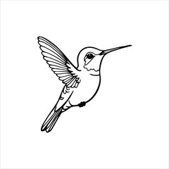 Hummingbird vector illustration logo concept design