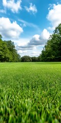 Obraz premium Vibrant green grass under a bright blue sky, perfect for outdoor activities and relaxation in nature. Ideal for landscape photography.