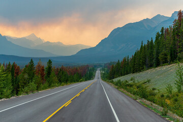 Naklejka premium Forest fire highway at sunset, Jasper national park, Canada.