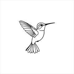 Hummingbird vector illustration logo concept design