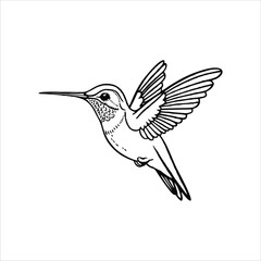 Hummingbird vector illustration logo concept design