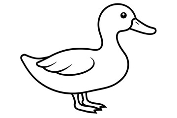 duck vector silhouette illustration