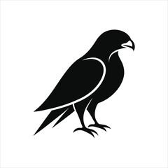 Falcon bird silhouette vector illustration. isolated on white background