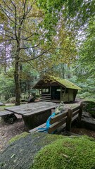 Wald im Herbst