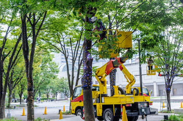 高所作業車（バケット車）、街路樹に電飾を取り付ける作業