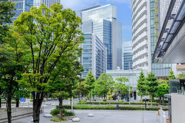 緑のある街の風景、横浜みなとみらい21地区