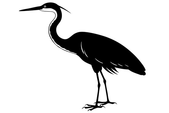 recommend clip art: heron black silhouette vector illustration
