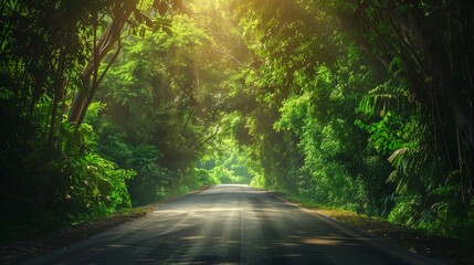 Obraz premium A road with trees on either side of it