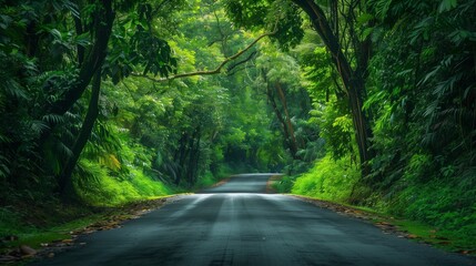 Obraz premium A road with trees on either side of it