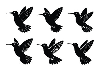 Fototapeta premium Hummingbird silhouette design bundle set in creative vector clip art with a white background