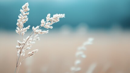 Delicate grass blades against a soft, blurred background.