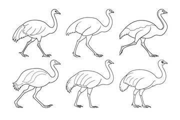 Obraz premium Vector clip art style emu silhouette bundle set with white background