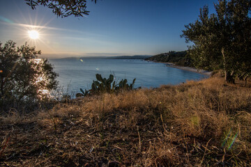 View from a hill with olive trees into the sunset and the sea. Evening mood of a Mediterranean landscape on the beach and coast of Ouranoupoli, Thessaloniki, Central Macedonia, Greece