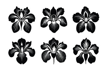 Vector clip art style iris silhouette bundle set with white background