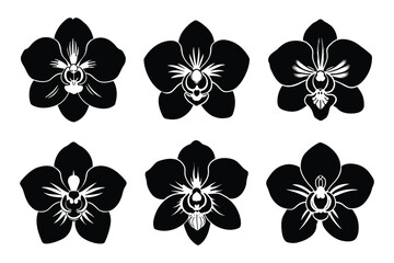 Orchid silhouette bundle set in vector style clip art with white background