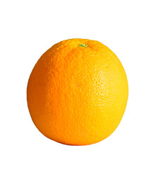 the fruit of an orange tree on transparent background