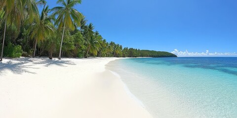 Fototapeta premium Tropical Beach with Palm Trees and Clear Blue Water