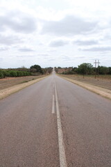 tarred asphalt road with trees alongside