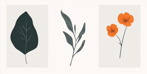 Fototapeta premium Three frame featuring a dark green leaf on a white background, an orange petal flower on a light gray background