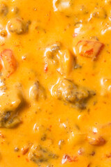 Homemade Mexican Spicy Cheese Queso Dip