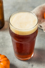 Boozy Refreshing Cold Pumpkin Craft Beer Ale