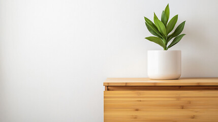 Minimalist design with bamboo vanity and potted plant adds freshness