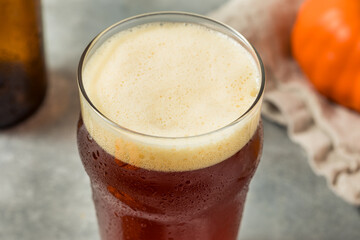 Boozy Refreshing Cold Pumpkin Craft Beer Ale