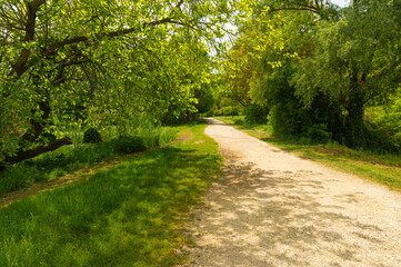 Fototapeta premium Lago di Fimon, Vicenza, Veneto, Italy. The lake is a beutiful place to walk and to take a rest with the family.