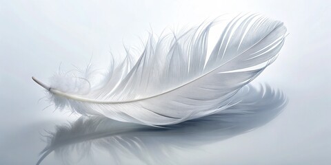 Obraz premium A solitary, delicate white feather rests serene on a pristine, endless white background, evoking feelings of purity, simplicity, and quiet contemplation.