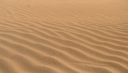 Obraz premium 모래의 패턴과 질감