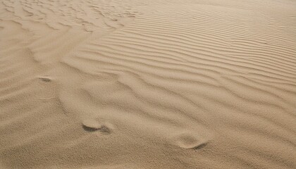 모래의 패턴과 질감