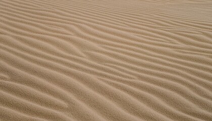 Obraz premium 모래의 패턴과 질감