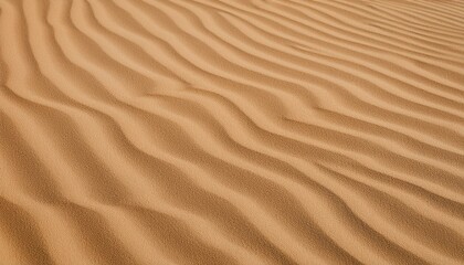 모래의 패턴과 질감