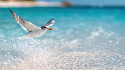 A pristine white seagull with dark wingtips gracefully glides just above the frothy blue ocean waves, portraying a sense of calm and natural elegance in a seaside setting.
