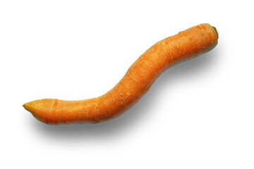  Whole fresh curved carrot  isolated on white background. Ugly vegetable