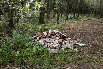 Abandoned construction waste in the forest, environmental pollution.
