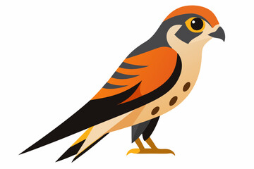 Obraz premium Vector illustration of Red-throated Pipit bird