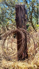 An old roll of barbed wire leaning up against an old fence post in a dried out field off of an old dirt road