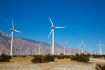 wind turbines farm