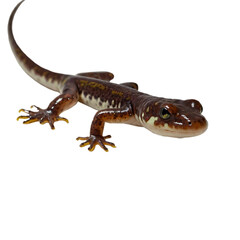 Obraz premium lizard with transparent background PNG and JPEG image 