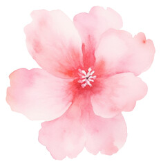 Fototapeta premium PNG Background pink flower blossom petal plant.