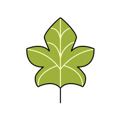 Flat design autumn leaves