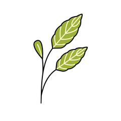 Flat design autumn leaves