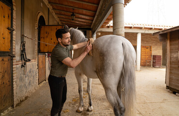 Man brushing white horse in a stable. Horseriding and hygiene concept