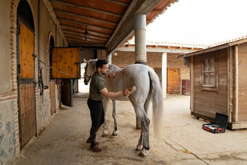 Horse being brushed by its owner. They are in a stable on a cloudy day. Horse care and hygiene...
