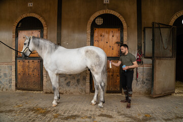 A person cleaning his white horse before going out for a ride. Horse tied to a stable post. Equestrian concept