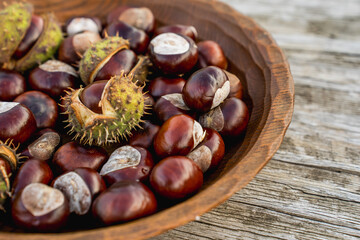 Chestnuts in a Wooden Bowl on a Wooden Table
