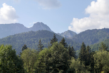 clouds over mountains with conifers in background