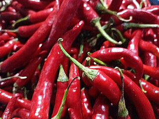 Fresh red chilies displayed in a vegetable shop.