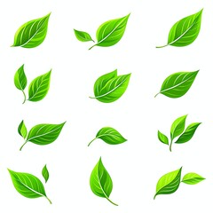 Set of icon green leaves icons on a white background. Vector illustration.